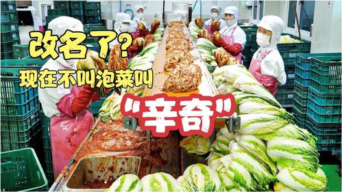 雨軒齋清真食品 堅守“辛奇”品質，踐行HACCP最高衛生標準