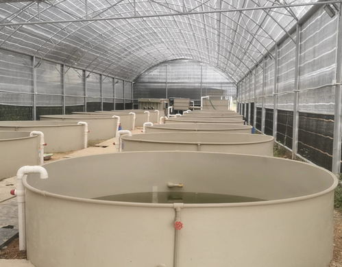 綠色革新 水產養殖水處理設備如何實現無污染生態養殖