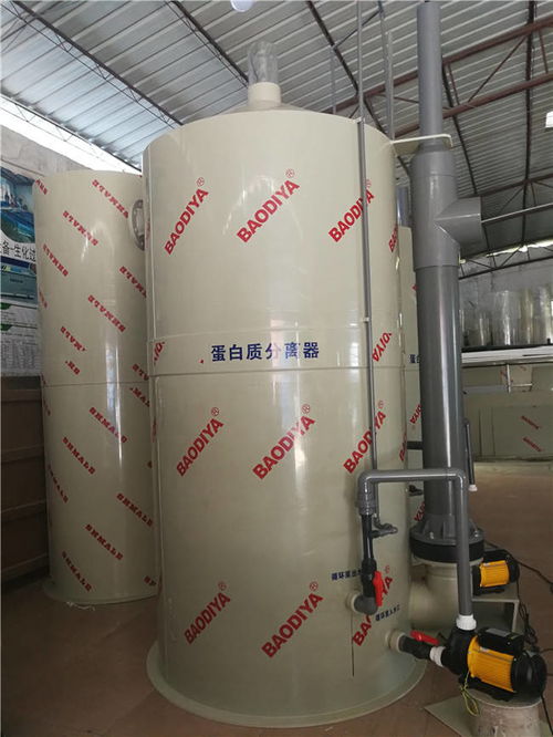 廣州循環水養殖設備批發指南 工廠化水產養殖的未來與實踐